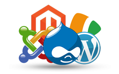 A CMS website for your business?